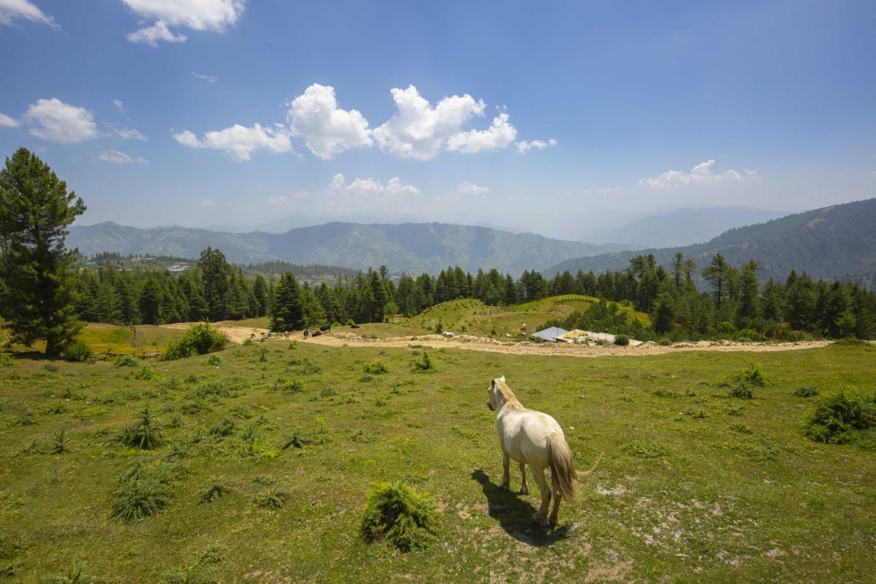 Zostel Homes Kotkhai Shimla Dış mekan fotoğraf