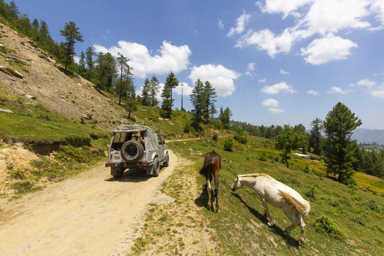 Zostel Homes Kotkhai Shimla Dış mekan fotoğraf